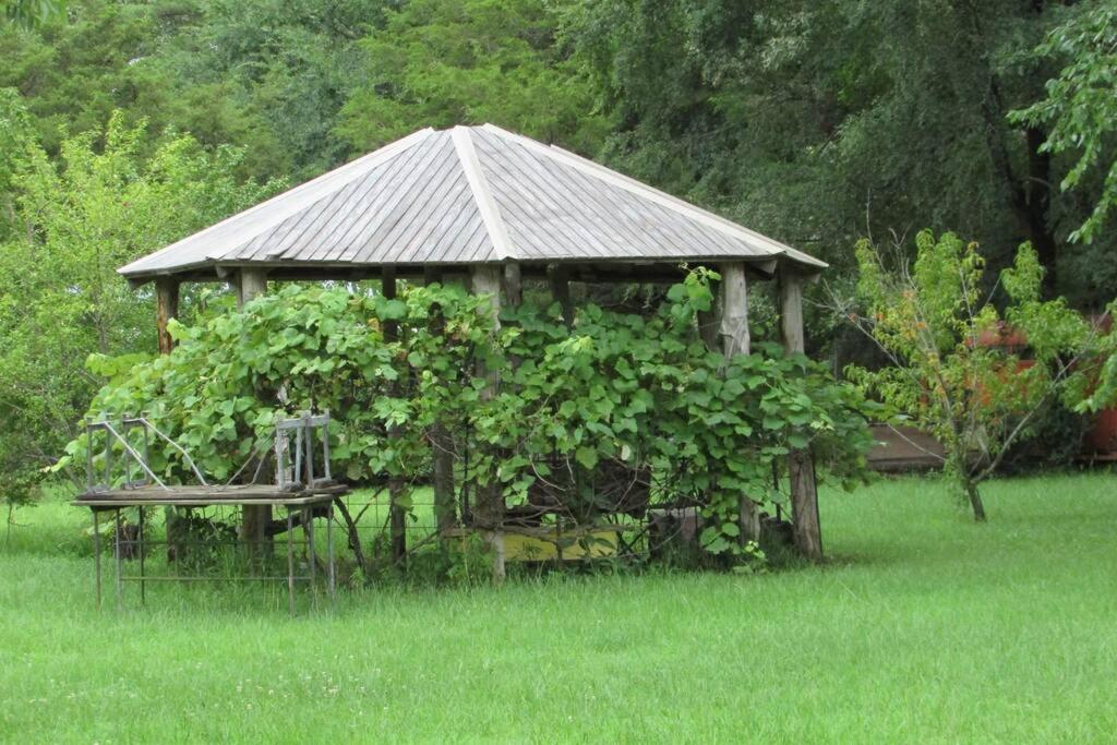 Berrybramble Cottage Talihina Ngoại thất bức ảnh